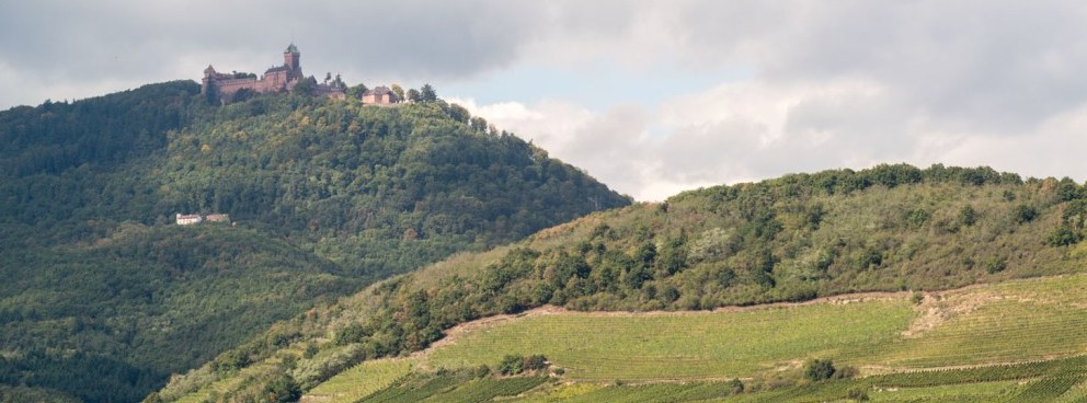 Vue générale du Haut-Koenigsbourg - © Jonathan Sarago/CD67 - Château du Haut-Koenigsbourg, Alsace, France