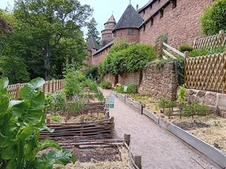 Visite libre du jardin médiéval - Château du Haut-Koenigsbourg - Hohkönigsburg, Elsass, Frankreich