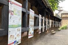 Expositions autour de la BD et de l'illustration - © Château du Haut-Koenigsbourg - Château du Haut-Koenigsbourg, Alsace, France