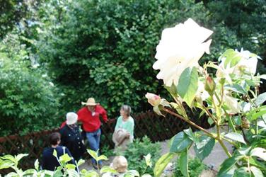 Führung durch den mittelalterlichen Garten der Hohkönigsburg - © château du Haut-Koenigsbourg