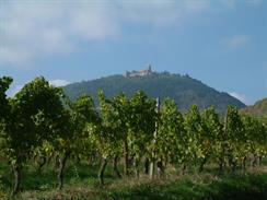 Le château vu depuis le Sud - © Cédric Populus