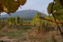 The castle seen from the South
 - © Eric Lorenzini