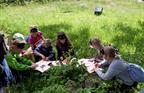 Workshop on medieval gardens - © château du Haut-Koenigsbourg