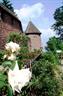 Jardin médiéval du château du Haut-Koenigsbourg - © château du Haut-Koenigsbourg