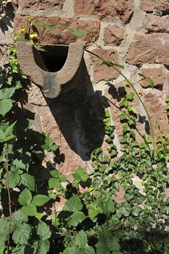 Détail du jardin médiéval du château - © Marc Dossmann