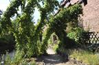 Medieval garden at Haut-Koenigsbourg castle
 - © Marc Dossmann