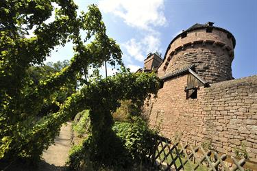 Jardin médiéval du château du Haut-Koenigsbourg - © Marc Dossmann