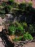 Medieval garden at Haut-Koenigsbourg castle - © château du Haut-Koenigsbourg