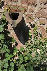 Detail des mittelalterlichen Gartens der Burg - © Marc Dossmann