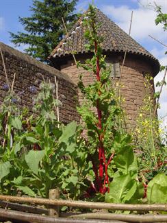 Mittelalterlicher Garten der Hohkönigsburg
 - © château du Haut-Koenigsbourg