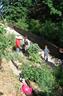 Guided tour of the medieval garden of Haut-Koenigsbourg castle - © Château du Haut-Koenigsbourg