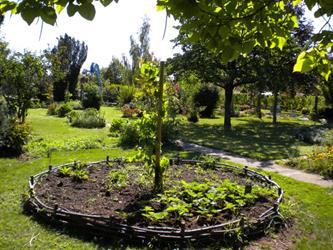 Medieval garden in Kintzheim - © DR