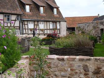 Garden in Châtenois - © circuit des jardins médiévaux