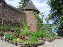 Jardin médiéval du château du Haut-Koenigsbourg - © château du Haut-Koenigsbourg