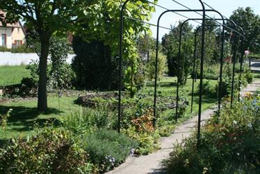 Medieval garden in Kintzheim - © DR