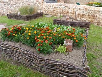 Garden in Châtenois - © circuit des jardins médiévaux