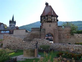 Medieval garden in Châtenois - © circuit des jardins médiévaux