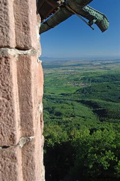 The alsacian plain seen from the grand bastion of castle Haut-Koenigsbourg - © Jean-Luc Stadler