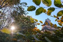 Visite du château - A partir du 19 mai - © Jonathan SARAGO / CeA - Hohkönigsburg, Elsass, Frankreich