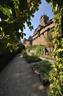 Medieval garden at Haut-Koenigsbourg castle
 - © Marc Dossmann