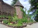 Medieval garden at Haut-Koenigsbourg castle - © château du Haut-Koenigsbourg